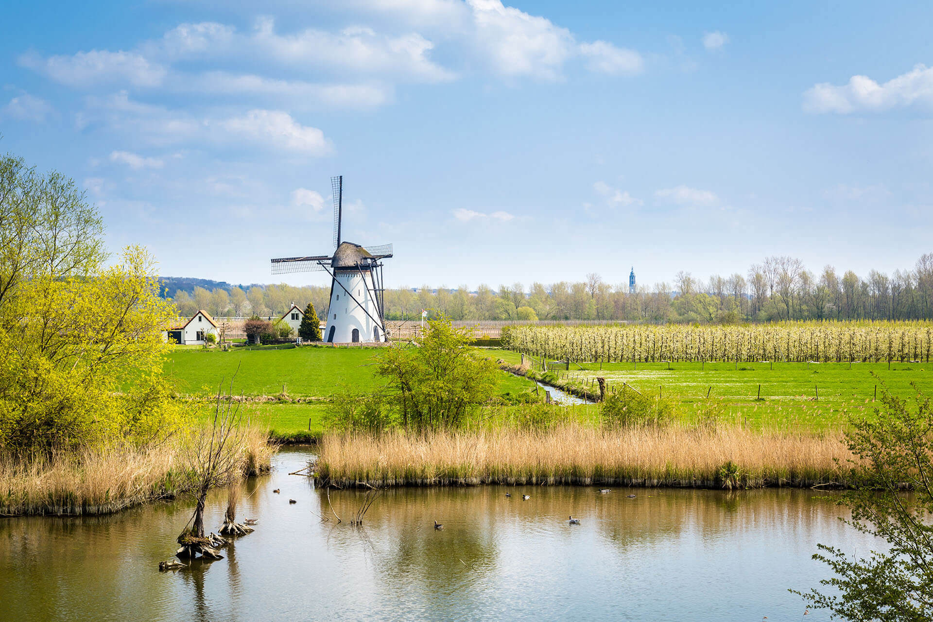 Netherlands: Updated Family Sponsor Income Requirements